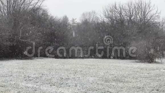 大雪景观背景视频的预览图
