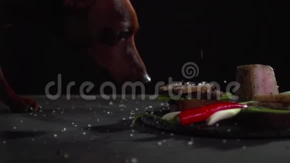 一只狗用黑面包舔香料和盐视频的预览图