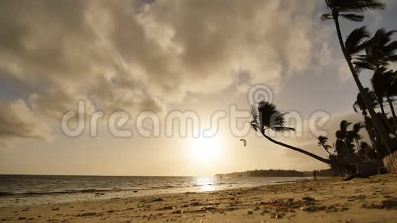 在长滩岛日出时孤独的手掌挂在海滩上早晨的风筝在波浪上游泳白色海滩视频的预览图