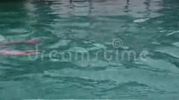 母亲和女儿在酒店游泳池游泳玩得开心视频的预览图