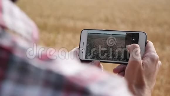 农民拍摄小麦作物产量照片视频的预览图