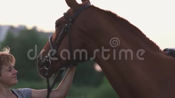 女孩在抚摸马视频的预览图