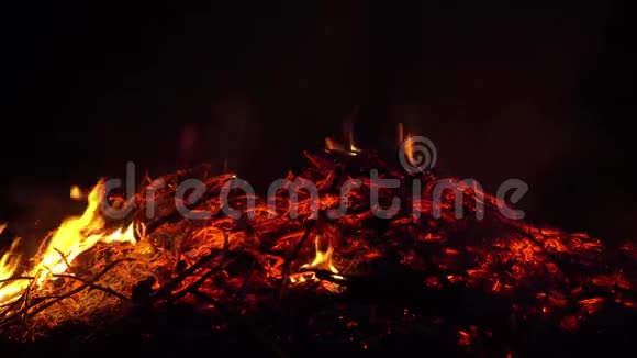 燃烧着火煤在夜晚发光视频的预览图