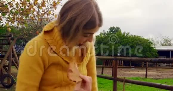 在牧场玩狗的女人视频的预览图