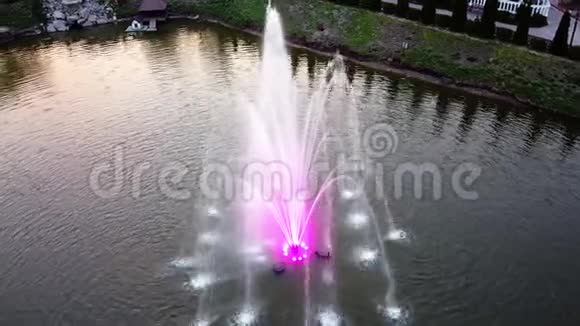 喷泉在春天的傍晚用粉红色的灯光照明鸭子在附近游泳草地和圣诞树周围空中射击视频的预览图