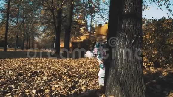 小女孩躲在秋天的森林里的一棵树后面视频的预览图