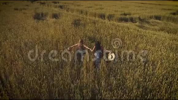 空中飞行女孩们跑过草地沿着高高的草地两个穿草帽和乡村服装的年轻女人视频的预览图