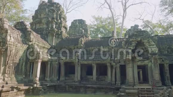 古老的吴哥窟寺庙被苔藓覆盖视频的预览图