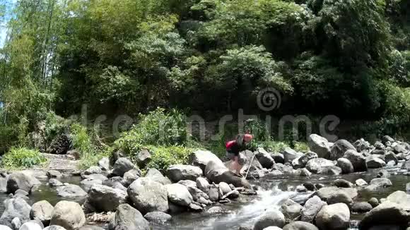 年轻漂亮的女士穿过清澈的岩石泉水充满了自然植被视频的预览图