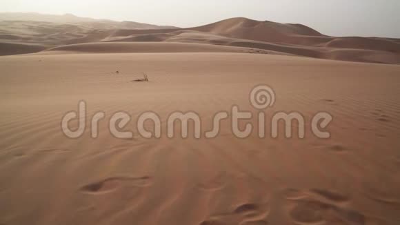风把沙子吹过阿拉伯联合酋长国RubalKhali沙漠股票录像视频的预览图