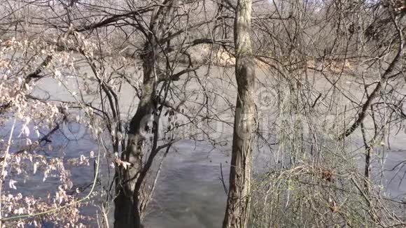 查塔胡切河GA通过树木向上游看河视频的预览图