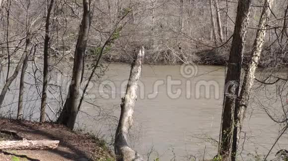 查塔霍切河GA挂在查塔霍切河上的死树视频的预览图