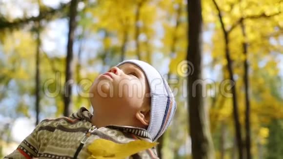 秋天公园的孩子望着树的顶端在新鲜的空气中漫步视频的预览图