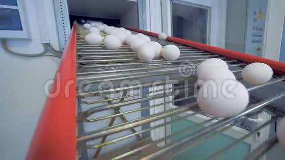 鸡蛋在工厂的传送带上大角度视频的预览图