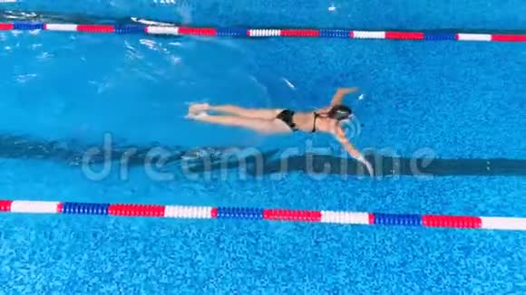 游泳池里的专业游泳运动员慢动作视频的预览图