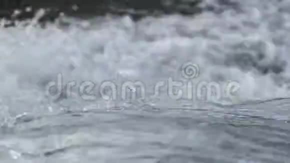 水喷淋水流流视频的预览图