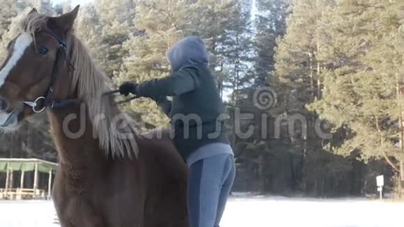 女孩正坐在马背上视频的预览图