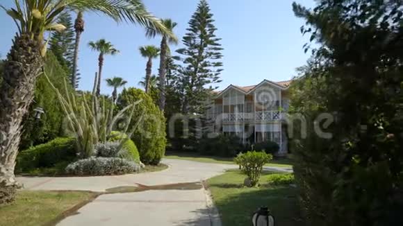 蓝天棕榈树间的小径镜头向前移动视频的预览图