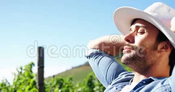 男农在葡萄园后手放松视频的预览图
