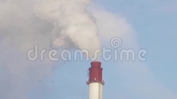 吸烟的植物烟囱大气污染与生态问题的概念视频的预览图