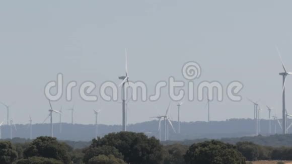 绿色技术清洁和可再生能源解决方案美丽的风车涡轮机利用清洁绿色风视频的预览图