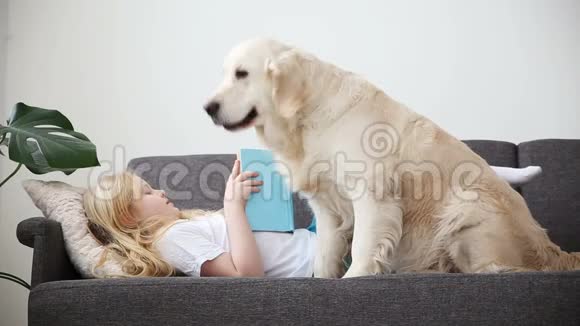 照顾宠物金发女孩正在看书躺在沙发上她的狗在客厅里快乐的金毛猎犬视频的预览图