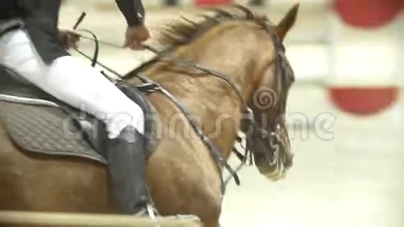 骑在黑马上的骑士在表演跳跃比赛中疾驰慢动作视频的预览图