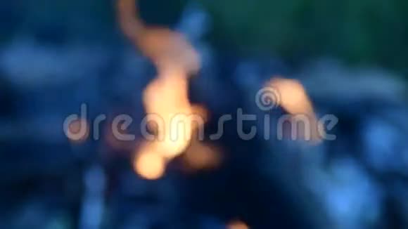 火焰和火焰低自由度视频的预览图