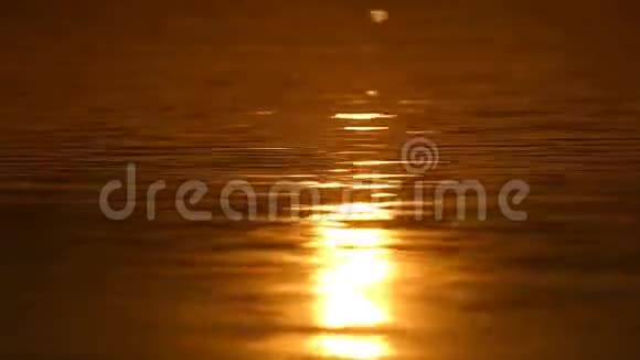 夏日在黑海表面的金色阳光之路视频的预览图