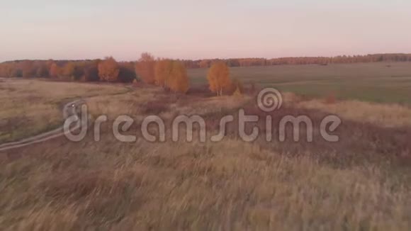 五彩缤纷的秋林黄橙绿视频的预览图