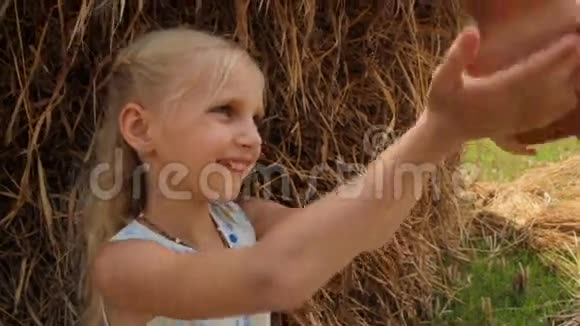美丽的金发女孩喝新鲜的牛牛奶从一个粘土罐对抗干草堆在农场夏天视频的预览图