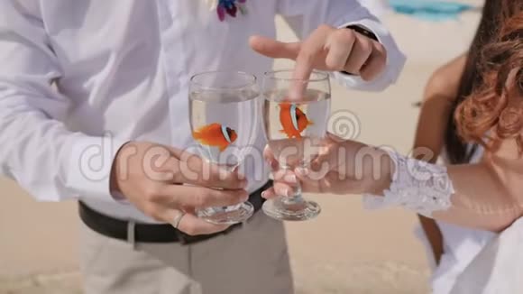 新娘和新郎从海里的玻璃碗里放了两条鱼结婚的主意对的符号异国情调的海滩视频的预览图