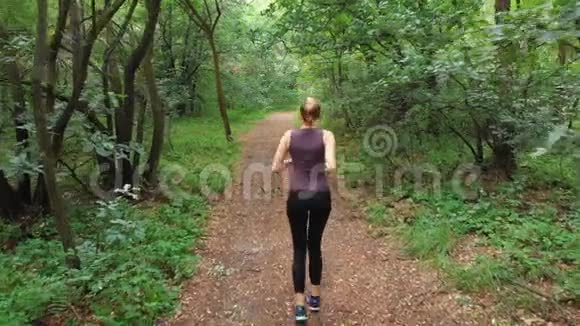 从背面到穿过松堤森林小径的年轻女子的鸟瞰图视频的预览图