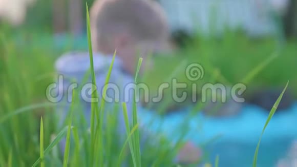 男孩坐在一个小湖旁湖边种着花和草3这个孩子把他的水溅出来了视频的预览图