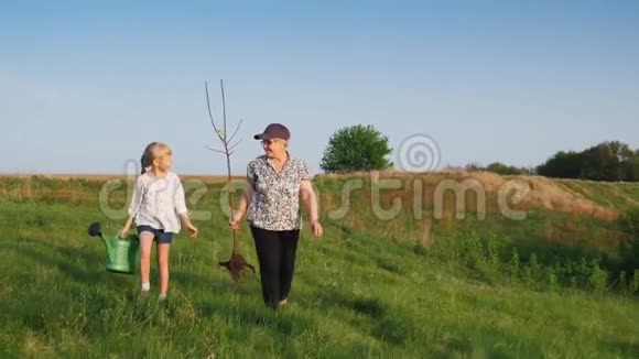 一位有6岁孙女的老年妇女要种一棵树有活力的老年人家庭成员和视频的预览图