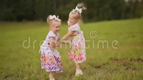 夏天两个可爱的姐妹双胞胎在绿色的草地上嬉戏牵着手互相微笑视频的预览图