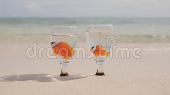 两条小丑鱼在异国海岸的两个玻璃杯中漂浮在水中带着鱼在沙滩上的碗被海水冲刷视频的预览图