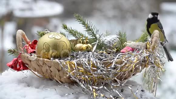 带着种子的鸟放在篮子里过圣诞节视频的预览图