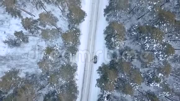 在森林的冬天飞过道路旋转视频的预览图