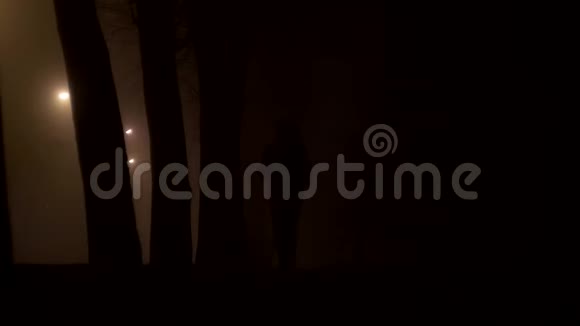 夜路在雾中汽车行驶一个人行走交通安全阴影视频的预览图