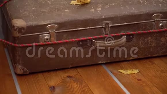 带秋叶的木制后备箱里的老式皮箱视频的预览图