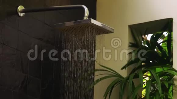 热带国家的室外雨水淋浴视频的预览图