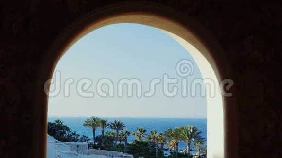 窗户俯瞰大海和海滩上面有棕榈树视频的预览图