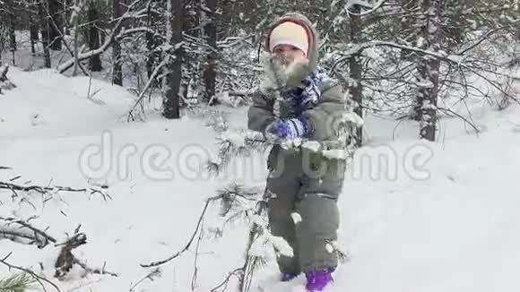 冬天树林里的游戏宝宝视频的预览图