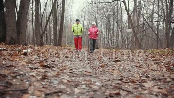 秋季公园的老年妇女接受训练初雪时北欧散步视频的预览图