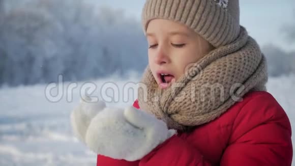 快乐的年轻女孩玩得开心在美丽的冬日享受新鲜的雪戴着温暖手套的女孩吹雪户外活动视频的预览图