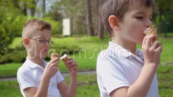 两个有趣的男孩在公园吃冰淇淋视频的预览图
