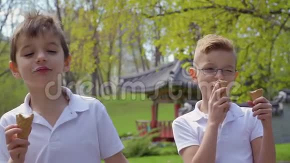 两个可爱的男孩在公园吃冰淇淋视频的预览图