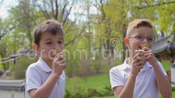 两兄弟在公园吃冰淇淋视频的预览图