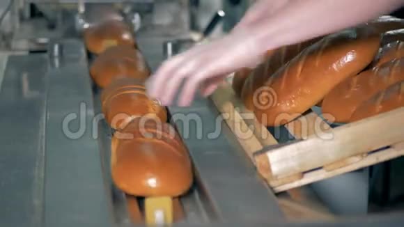 一个工人把新鲜的白面包袋放进包装机的插槽里视频的预览图